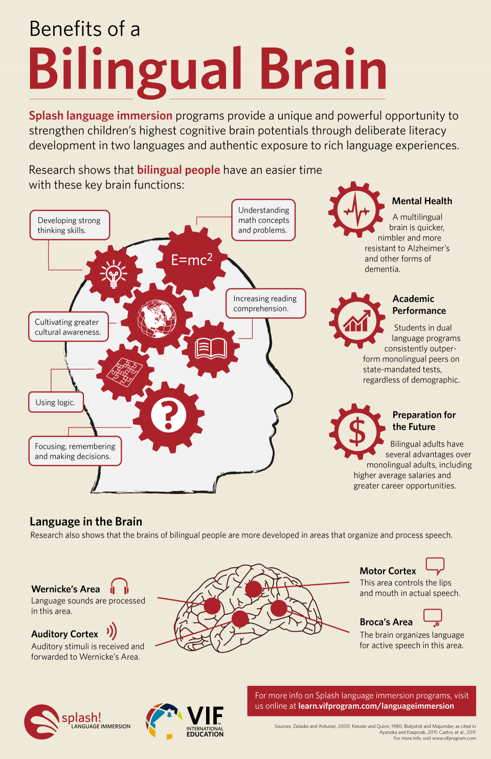 Bilingual Brain infographic